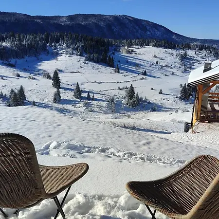 Pine Vlašić Apartment *